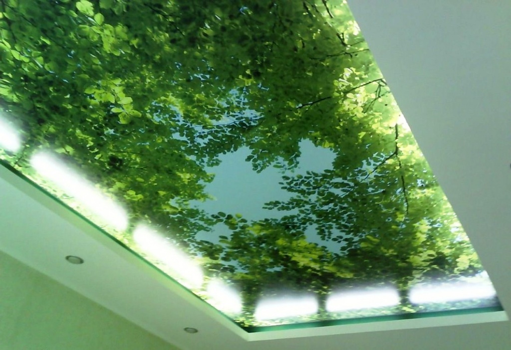 натяжной потолок с природой