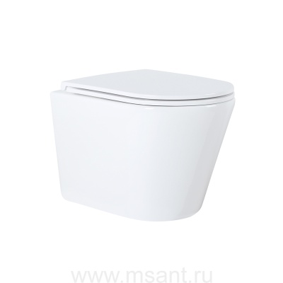 Унитаз подвесной Azario Teramo 515х355х365 безободковый, с сиденьем микролифт