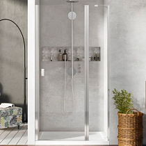 Душевая дверь в нишу Radaway Nes DWJ II 100 R