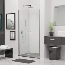 Душевая дверь RGW LE-06 (Прозрачное, 1100)