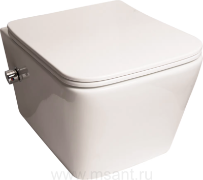 Унитаз подвесной SantiLine SL-5004SM-BD безободковый, с микролифтом