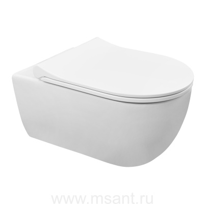 Унитаз подвесной Azario FERIO 360х545х330 безободковый, в комплекте с сиденьем микролифт