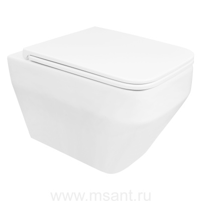 Унитаз подвесной Azario MONEO 530х365х370 безободковый, в комплекте с быстросъемным сидением микролифт