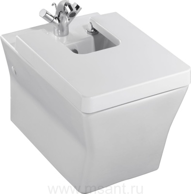 Биде подвесное Jacob Delafon Reve E4812