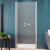 Душевая дверь в нишу Radaway EOS DWJ I 100 L