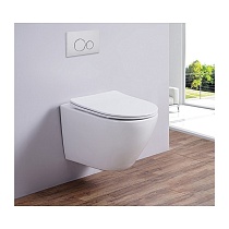 Унитаз подвесной AMAPOLA-N DP (White). Размер: 535x360x365.