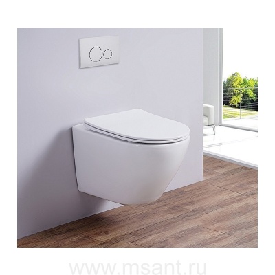 Унитаз подвесной AMAPOLA-N DP (White). Размер: 535x360x365. 