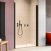 Душевая дверь в нишу Radaway Nes Black DWD I 110