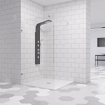 Перегородка для душа RGW WA-030-1 (Прозрачное, 1100)