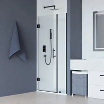 Душевая дверь в нишу RGW Hotel HO-012-B 1200х1950 профиль черный, стекло прозрачное