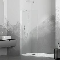 Перегородка для душа RGW WA-110 (1000)