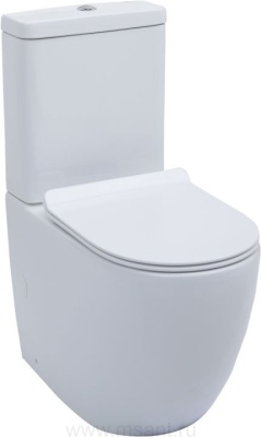 Унитаз напольный Aquanet Rimless Cetus-C1 BL-102N-TPT