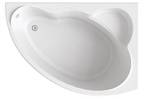 Акриловая ванна BAS Лагуна 170x110 R на каркасе