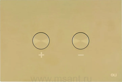 Кнопка смыва OLI Blink 878781 золото, антивандальная