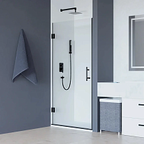 Душевая дверь в нишу RGW Hotel HO-011-B 700х1950 профиль черный, стекло прозрачное