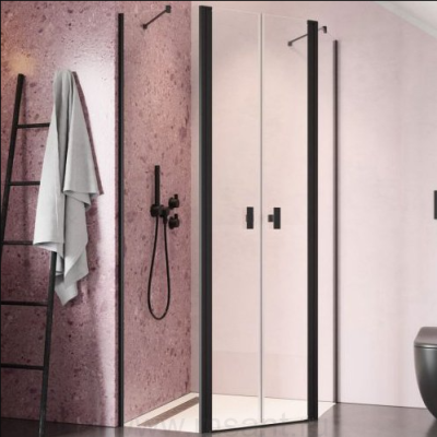 Душевой уголок Radaway Nes Black PTD 90x100