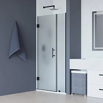 Душевая дверь в нишу RGW Hotel HO-012-B 1200х1950 профиль черный, стекло матовое