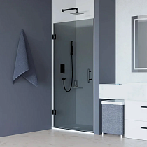 Душевая дверь в нишу RGW Hotel HO-011-B 700х1950 профиль черный, стекло тонированное