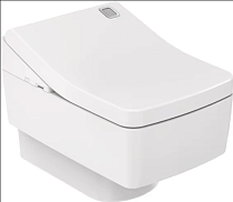 Унитаз подвесной Toto SG CW512YR с пластиковой декоративной панелью