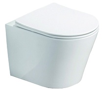 Унитаз подвесной Azario Teramo безободковый в комплекте с сидением микролифт, белый (AZ-0053 SP)