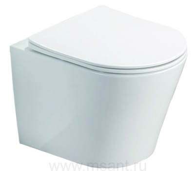 Унитаз подвесной Azario Teramo безободковый в комплекте с сидением микролифт, белый (AZ-0053 SP)