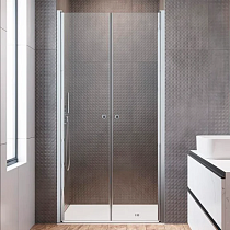 Душевая дверь в нишу Radaway EOS DWD I 100