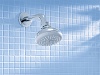 Верхний душ Grohe Tempesta Classic 27606001