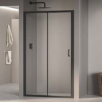 Душевая дверь RGW PA-14B (Прозрачное, 1000)