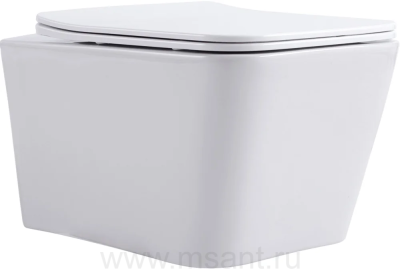 Унитаз подвесной Aquanet Trend 276396 безободковый, с микролифтом