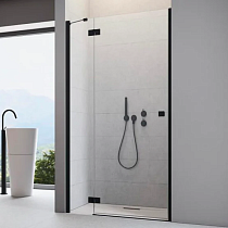 Душевая дверь в нишу Radaway Essenza New Black DWJ 100 L