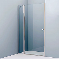 Душевая дверь в нишу IDDIS Ray RAY6CP2i69 120 см