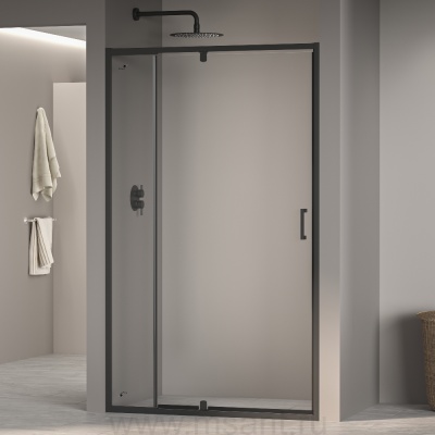 Душевая дверь RGW PA-008B (Прозрачное, 900)