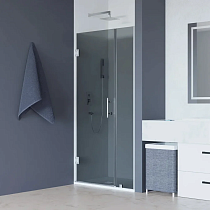 Душевая дверь в нишу RGW Hotel HO-012 1200х1950 профиль хром, стекло тонированное