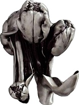 Крючок Art&Max Tulip AM-0822-T