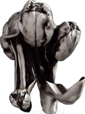 Крючок Art&Max Tulip AM-0822-T