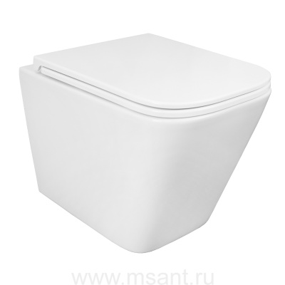 Унитаз подвесной Azario PRO 490х345х355 безободковый, в комплекте с быстросъемным сидением микролифт