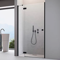 Душевая дверь в нишу Radaway Essenza New Black DWJ 80 L