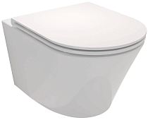 Унитаз подвесной Jacob Delafon Rodin+ EDY102-00 без ободковый