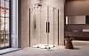 Душевой уголок Radaway Furo Black KDD 110х110
