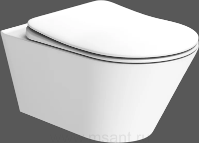 Унитаз подвесной Boheme Avva 972-MW белый матовый