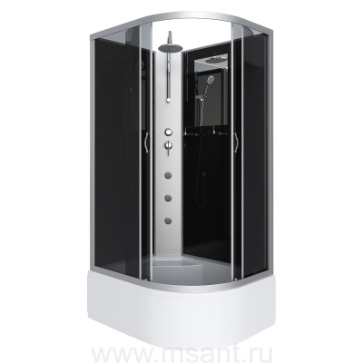 Душевая кабина Niagara Classic NG-2510-14LBKTG (120х80х210) высокий поддон(40см),стекло тонированное 