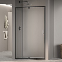 Душевая дверь RGW PA-008B (Прозрачное, 1000)