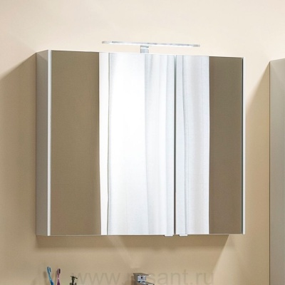 Зеркало-шкаф Aquanet Тулон 100