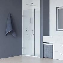 Душевая дверь в нишу RGW Hotel HO-012 1100х1950 профиль хром, стекло прозрачное