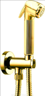 Гигиенический душ Bossini Nikita C69002 ORO