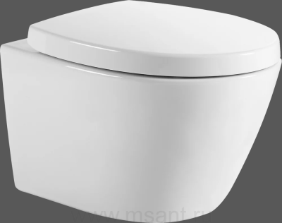 Унитаз подвесной Aquanet Zvezda-1 303977 безободковый, с микролифтом