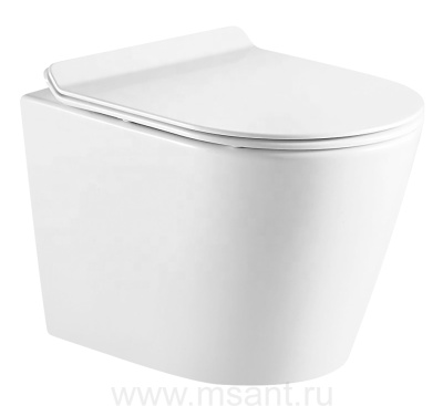 Унитаз подвесной AZARIO FONTI 535x365x310 безободковый, в комплекте с сиденьем микролифт, белый