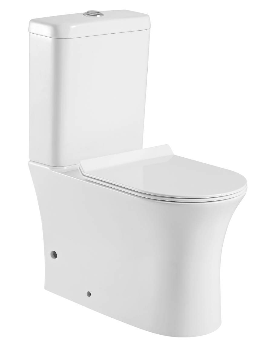 Унитаз напольный Aquanet Rimless Roll-C CL-12249B
