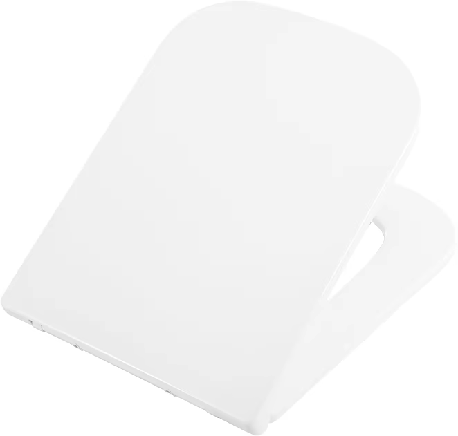 Крышка-сиденье BelBagno BB2322SC с микролифтом
