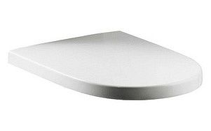 Крышка-сиденье Roca Meridian 8012AC004 с микролифтом петли хром